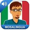 Italien : apprendre rapidement avec MosaLingua – MosaLingua